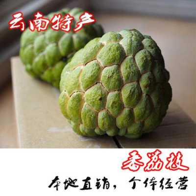 番荔枝是哪里的特产(番荔枝产地是哪里)-第2张图片-厨房小当家 番荔枝是哪里的特产(番荔枝产地是哪里)-第2张图片-厨房小当家