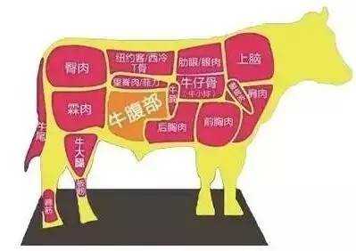 牛铃铛肉指牛的哪个部位,牛元宝肉是哪个部位-第3张图片-厨房小当家 牛铃铛肉指牛的哪个部位,牛元宝肉是哪个部位-第3张图片-厨房小当家