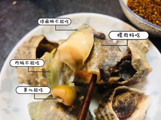 水煮海螺哪里不能吃图(海螺煮后怎么能扣出来)-第1张图片-厨房小当家 水煮海螺哪里不能吃图(海螺煮后怎么能扣出来)-第1张图片-厨房小当家