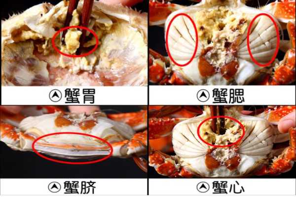 梭子蟹哪些部位不能吃,梭子蟹哪里不能吃图解视频-第1张图片-厨房小当家