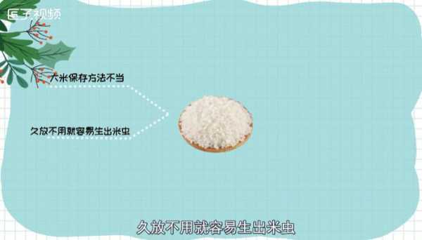 米放在哪里不生虫子(为什么把米放到塑料桶就不会生米虫)-第1张图片-厨房小当家 米放在哪里不生虫子(为什么把米放到塑料桶就不会生米虫)-第1张图片-厨房小当家