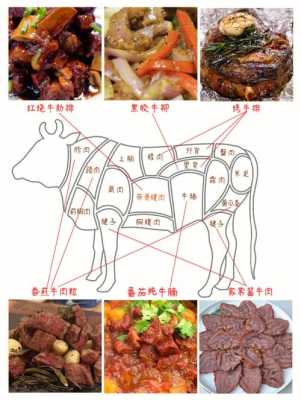 做牛排选哪个部位的牛肉最佳,牛肉最好的部位在哪里吃-第1张图片-厨房小当家 做牛排选哪个部位的牛肉最佳,牛肉最好的部位在哪里吃-第1张图片-厨房小当家