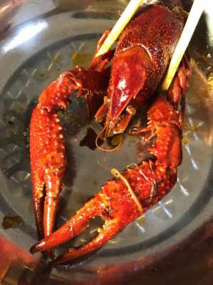 小龙虾上草只死小的,猎味小龙虾怎么样好吃吗-第3张图片-厨房小当家 小龙虾上草只死小的,猎味小龙虾怎么样好吃吗-第3张图片-厨房小当家