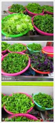 野菜专卖店加盟怎么样(野菜专卖店加盟怎么样)-第2张图片-厨房小当家 野菜专卖店加盟怎么样(野菜专卖店加盟怎么样)-第2张图片-厨房小当家