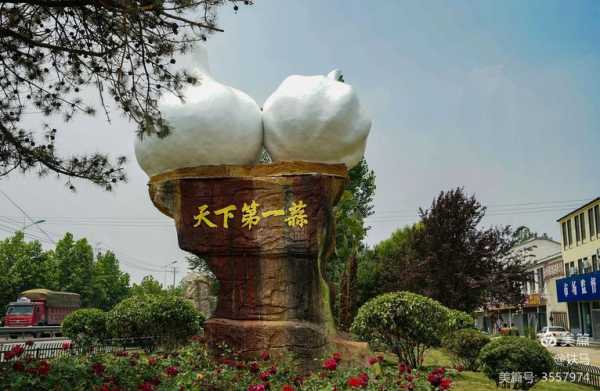 天下第一蒜为什么不是金乡,天下第一蒜谁提的字-第2张图片-厨房小当家 天下第一蒜为什么不是金乡,天下第一蒜谁提的字-第2张图片-厨房小当家
