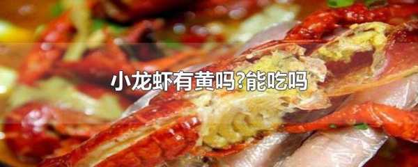 龙虾黄黄的东西是内脏还是虾黄,小龙虾的虾皇是什么-第3张图片-厨房小当家 龙虾黄黄的东西是内脏还是虾黄,小龙虾的虾皇是什么-第3张图片-厨房小当家