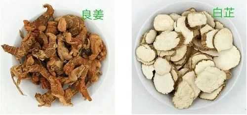 白芷吃哪里(香料白芷的正确使用方法)-第1张图片-厨房小当家 白芷吃哪里(香料白芷的正确使用方法)-第1张图片-厨房小当家