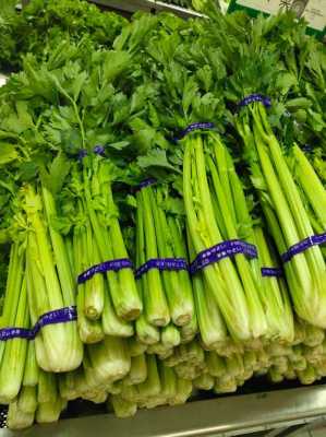 芹菜要吃哪里(芹菜为什么是蒙古人的地位和象征)-第1张图片-厨房小当家 芹菜要吃哪里(芹菜为什么是蒙古人的地位和象征)-第1张图片-厨房小当家