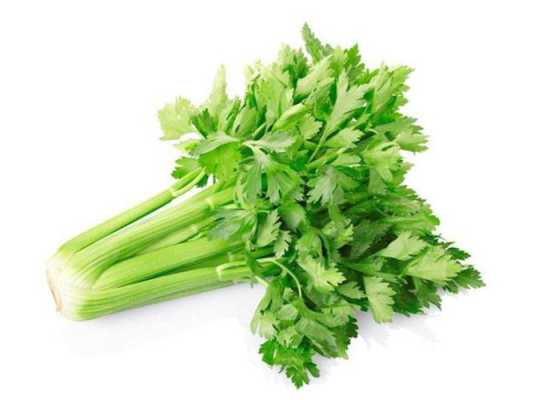 芹菜要吃哪里(芹菜为什么是蒙古人的地位和象征)-第3张图片-厨房小当家 芹菜要吃哪里(芹菜为什么是蒙古人的地位和象征)-第3张图片-厨房小当家