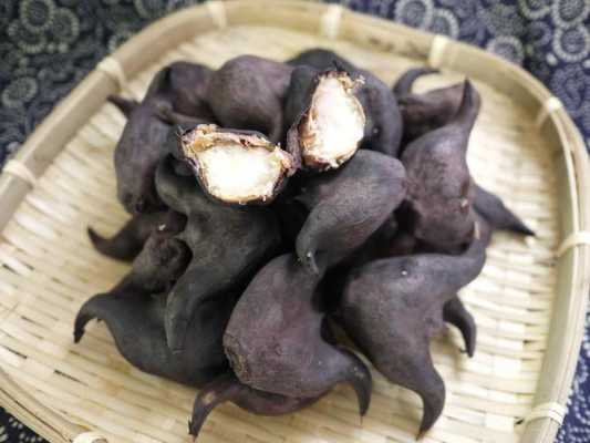 菱角哪里好(菱角哪里好吃)-第1张图片-厨房小当家 菱角哪里好(菱角哪里好吃)-第1张图片-厨房小当家