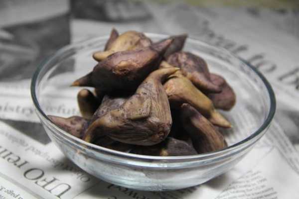 菱角哪里菜(菱角做成菜叫啥名)-第2张图片-厨房小当家 菱角哪里菜(菱角做成菜叫啥名)-第2张图片-厨房小当家