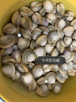 花蛤哪些部分能吃,-第1张图片-厨房小当家