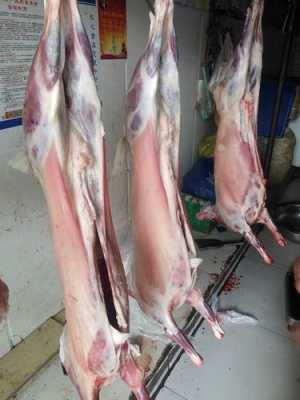 哪里羊肉膻(哪种羊膻味重)-第1张图片-厨房小当家 哪里羊肉膻(哪种羊膻味重)-第1张图片-厨房小当家