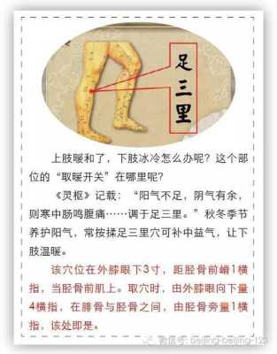 立冬在哪里(冬天氧气从哪里来)-第1张图片-厨房小当家 立冬在哪里(冬天氧气从哪里来)-第1张图片-厨房小当家