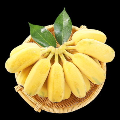 粉蕉哪里产(粉蕉哪里产的)-第2张图片-厨房小当家 粉蕉哪里产(粉蕉哪里产的)-第2张图片-厨房小当家