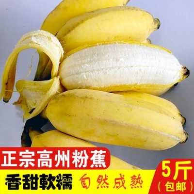 粉蕉哪里产(粉蕉哪里产的)-第3张图片-厨房小当家 粉蕉哪里产(粉蕉哪里产的)-第3张图片-厨房小当家