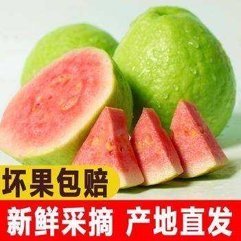 红心芭乐里面的梅粉是干什么的,梅干粉哪里有卖-第2张图片-厨房小当家 红心芭乐里面的梅粉是干什么的,梅干粉哪里有卖-第2张图片-厨房小当家