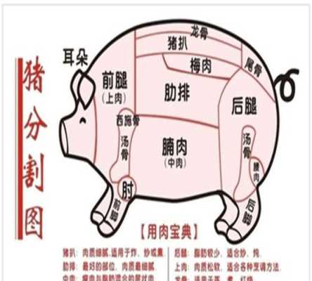 猪身上哪个部位营养价值排名,猪肉哪里肉好吃-第2张图片-厨房小当家