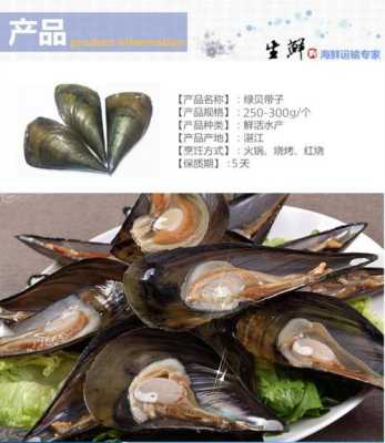 海带子哪里好(贝尖是什么海鲜)-第3张图片-厨房小当家 海带子哪里好(贝尖是什么海鲜)-第3张图片-厨房小当家
