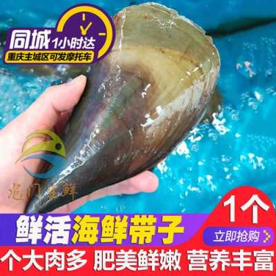 海带子哪里好(贝尖是什么海鲜)-第1张图片-厨房小当家 海带子哪里好(贝尖是什么海鲜)-第1张图片-厨房小当家