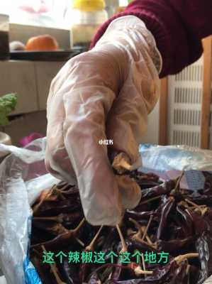 干辣椒放哪里(干辣椒放哪里不生虫子)-第2张图片-厨房小当家 干辣椒放哪里(干辣椒放哪里不生虫子)-第2张图片-厨房小当家