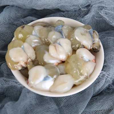 乌贼蛋在哪里(乌贼蛋在哪里可以买到)-第2张图片-厨房小当家 乌贼蛋在哪里(乌贼蛋在哪里可以买到)-第2张图片-厨房小当家