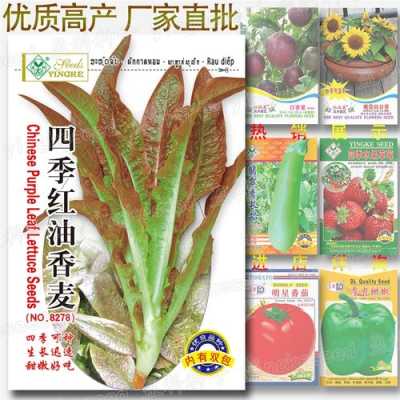 甜的什么填空,哪里菜最甜-第1张图片-厨房小当家 甜的什么填空,哪里菜最甜-第1张图片-厨房小当家
