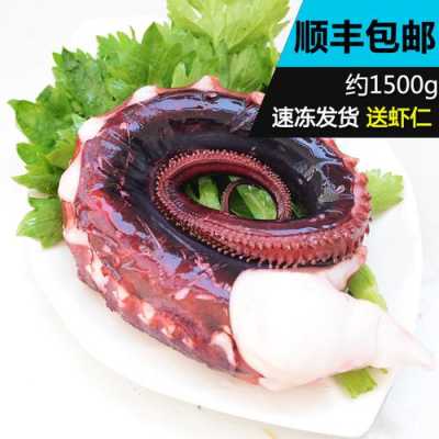 章鱼脚哪里买(章鱼脚哪里买便宜)-第2张图片-厨房小当家 章鱼脚哪里买(章鱼脚哪里买便宜)-第2张图片-厨房小当家