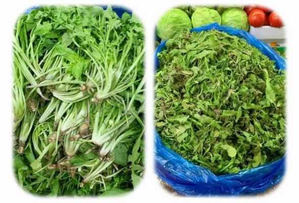 哪里买茡荠(哪里可以买到荠菜)-第2张图片-厨房小当家 哪里买茡荠(哪里可以买到荠菜)-第2张图片-厨房小当家