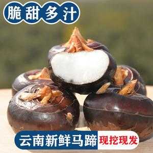 哪里买茡荠(哪里可以买到荠菜)-第3张图片-厨房小当家 哪里买茡荠(哪里可以买到荠菜)-第3张图片-厨房小当家