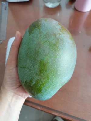青芒果哪里买(青芒果怎么储藏)-第2张图片-厨房小当家 青芒果哪里买(青芒果怎么储藏)-第2张图片-厨房小当家