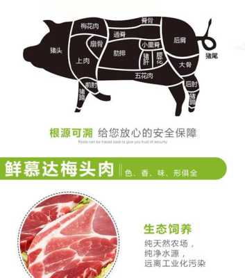 梅头肉在猪的哪个部位,梅头肉是哪里-第1张图片-厨房小当家 梅头肉在猪的哪个部位,梅头肉是哪里-第1张图片-厨房小当家