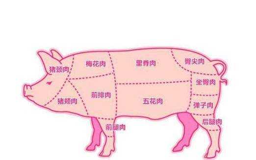 梅头肉在猪的哪个部位,梅头肉是哪里-第3张图片-厨房小当家 梅头肉在猪的哪个部位,梅头肉是哪里-第3张图片-厨房小当家