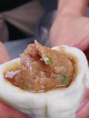 鲜汁肉包怎么样(安庆鲜汁肉包馅料配方)-第3张图片-厨房小当家 鲜汁肉包怎么样(安庆鲜汁肉包馅料配方)-第3张图片-厨房小当家
