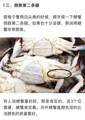 梭蟹怎么挑,梭子蟹哪里有-第1张图片-厨房小当家 梭蟹怎么挑,梭子蟹哪里有-第1张图片-厨房小当家