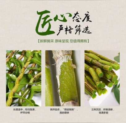 新鲜铁皮石斛的功效,鲜石斛哪里好吃-第2张图片-厨房小当家 新鲜铁皮石斛的功效,鲜石斛哪里好吃-第2张图片-厨房小当家