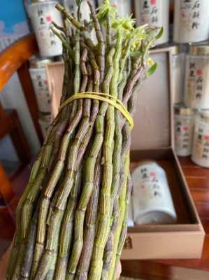 新鲜铁皮石斛的功效,鲜石斛哪里好吃-第1张图片-厨房小当家 新鲜铁皮石斛的功效,鲜石斛哪里好吃-第1张图片-厨房小当家
