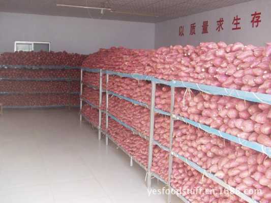 红薯怎么做颗粒饲料,红薯进货位置在哪里-第1张图片-厨房小当家 红薯怎么做颗粒饲料,红薯进货位置在哪里-第1张图片-厨房小当家