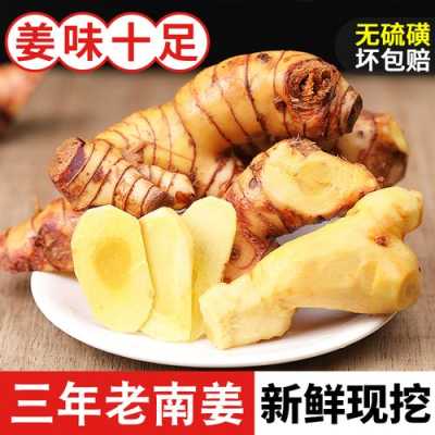 什么叫南姜,茅姜好吃吗-第2张图片-厨房小当家 什么叫南姜,茅姜好吃吗-第2张图片-厨房小当家
