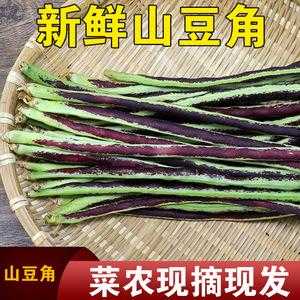 山豆角百科,山豆角哪里有卖的-第3张图片-厨房小当家 山豆角百科,山豆角哪里有卖的-第3张图片-厨房小当家