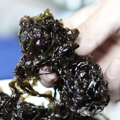 鲜紫菜哪里有(鲜紫菜哪里有卖的啊)-第2张图片-厨房小当家 鲜紫菜哪里有(鲜紫菜哪里有卖的啊)-第2张图片-厨房小当家