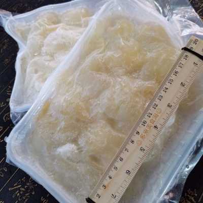 哪里产金钩翅(金钩翅是哪个部位)-第1张图片-厨房小当家 哪里产金钩翅(金钩翅是哪个部位)-第1张图片-厨房小当家
