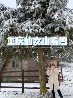 山蕨粑哪里买(重庆看雪景点推荐)-第1张图片-厨房小当家 山蕨粑哪里买(重庆看雪景点推荐)-第1张图片-厨房小当家