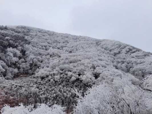 山蕨粑哪里买(重庆看雪景点推荐)-第2张图片-厨房小当家 山蕨粑哪里买(重庆看雪景点推荐)-第2张图片-厨房小当家