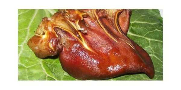 哪里教腊猪耳(哪里教腊猪耳朵好)-第2张图片-厨房小当家 哪里教腊猪耳(哪里教腊猪耳朵好)-第2张图片-厨房小当家