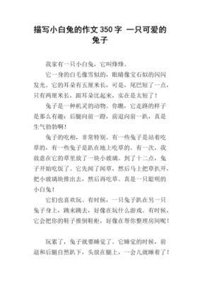 兔子认院子吗,小白兔的家在哪里呢用什么标点符号-第2张图片-厨房小当家 兔子认院子吗,小白兔的家在哪里呢用什么标点符号-第2张图片-厨房小当家