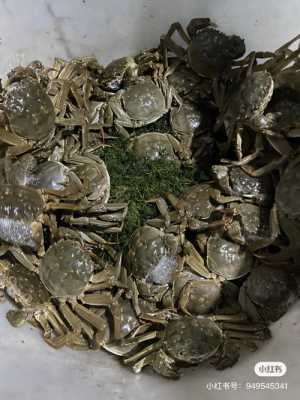 大闸蟹 哪里(大闸蟹哪里的产地最好)-第1张图片-厨房小当家 大闸蟹 哪里(大闸蟹哪里的产地最好)-第1张图片-厨房小当家