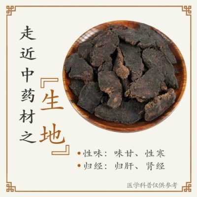 生地是哪里(生地是哪里产的)-第3张图片-厨房小当家 生地是哪里(生地是哪里产的)-第3张图片-厨房小当家