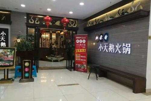 小天鹅火锅加盟怎么样(小天鹅火锅加盟怎么样啊)-第1张图片-厨房小当家 小天鹅火锅加盟怎么样(小天鹅火锅加盟怎么样啊)-第1张图片-厨房小当家
