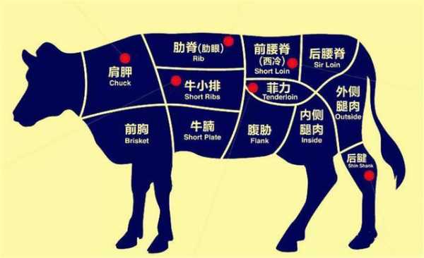 牛肉最好的是哪里(牛肉最好的是哪里的)-第3张图片-厨房小当家 牛肉最好的是哪里(牛肉最好的是哪里的)-第3张图片-厨房小当家